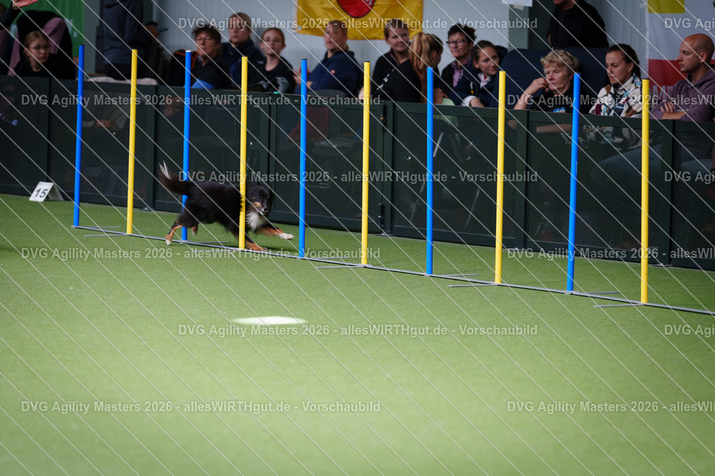 allesWIRTHgut_Tierfotografie-DVG_Agility_Masters_2026-11_06-7R504822 | Professionelle Tierfotografie in Mönchengladbach von Daniel Wirth (allesWIRTHgut). Liebevolle & natürliche Bilder von Hunden & Katzen für unvergessliche Erinnerungen.