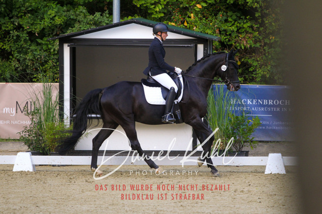 DKP41274 | Turniersportfotografie; Pferdefotografie; Dressurfotografie