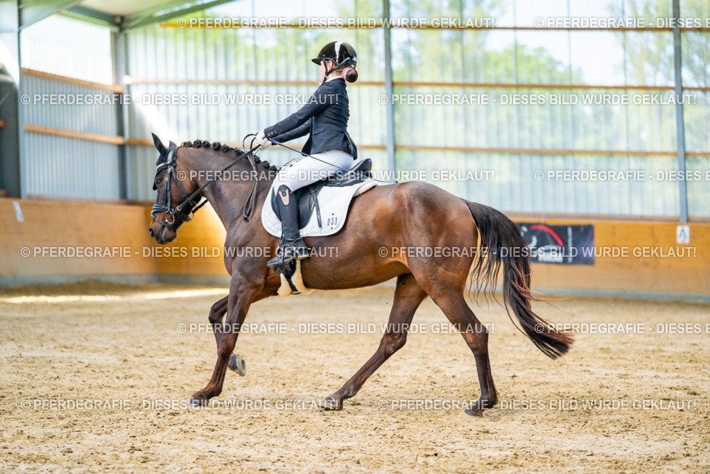 DSC07275 | Pferdegrafie