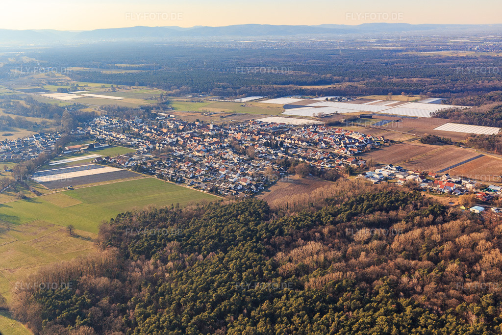 Luftbild: Ortsansicht von Osten in Hanhofen im Bundesland Rheinland-Pfalz in Deutschland. Foto: IMG_126017.jpg vom 07.03.2021 durch Werner Riehm/FLY-FOTO.de