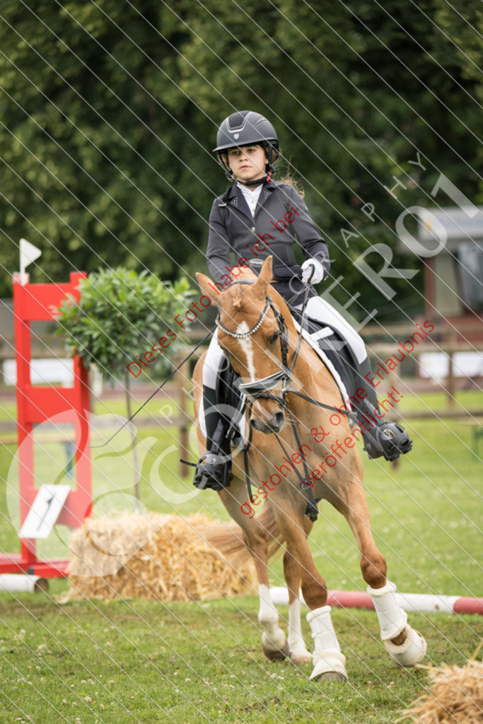 IMG_1717 | Sport-, Event- und Tierfotos in Profiqualität. Einfach auswählen, bestellen und herunterladen. Dein Moment – perfekt festgehalten.