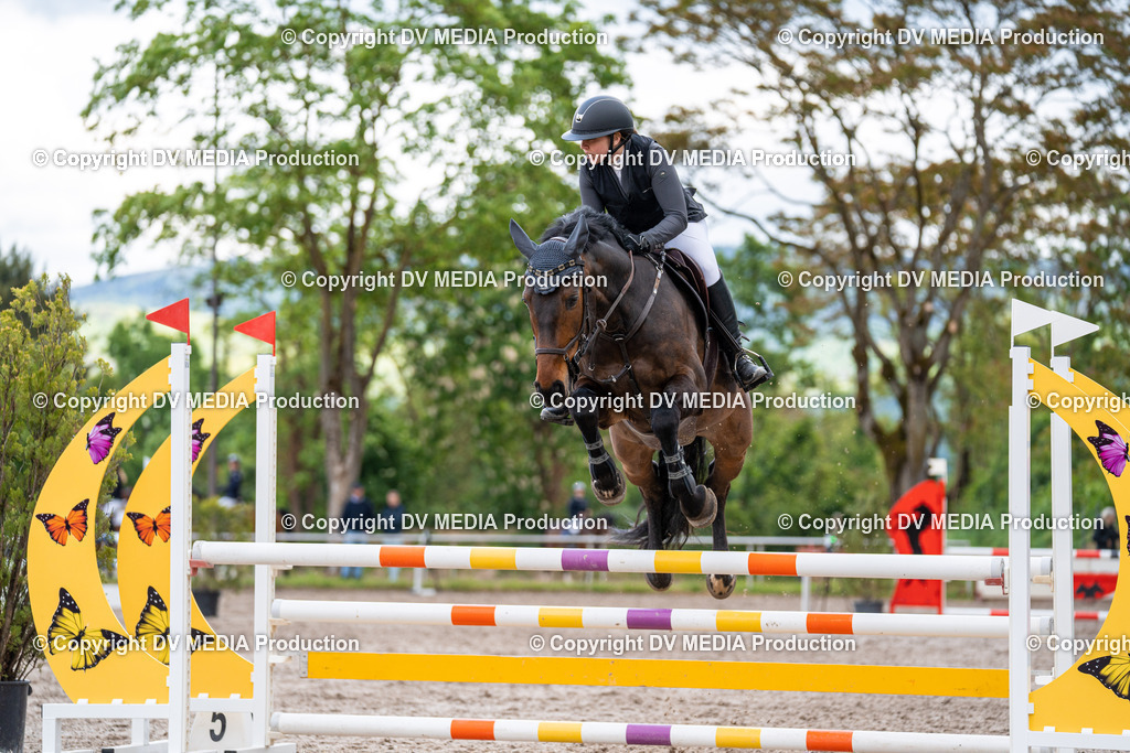 Eppelheim Tag 1-318 | dv-media-shop - Realisiert mit Pictrs.com