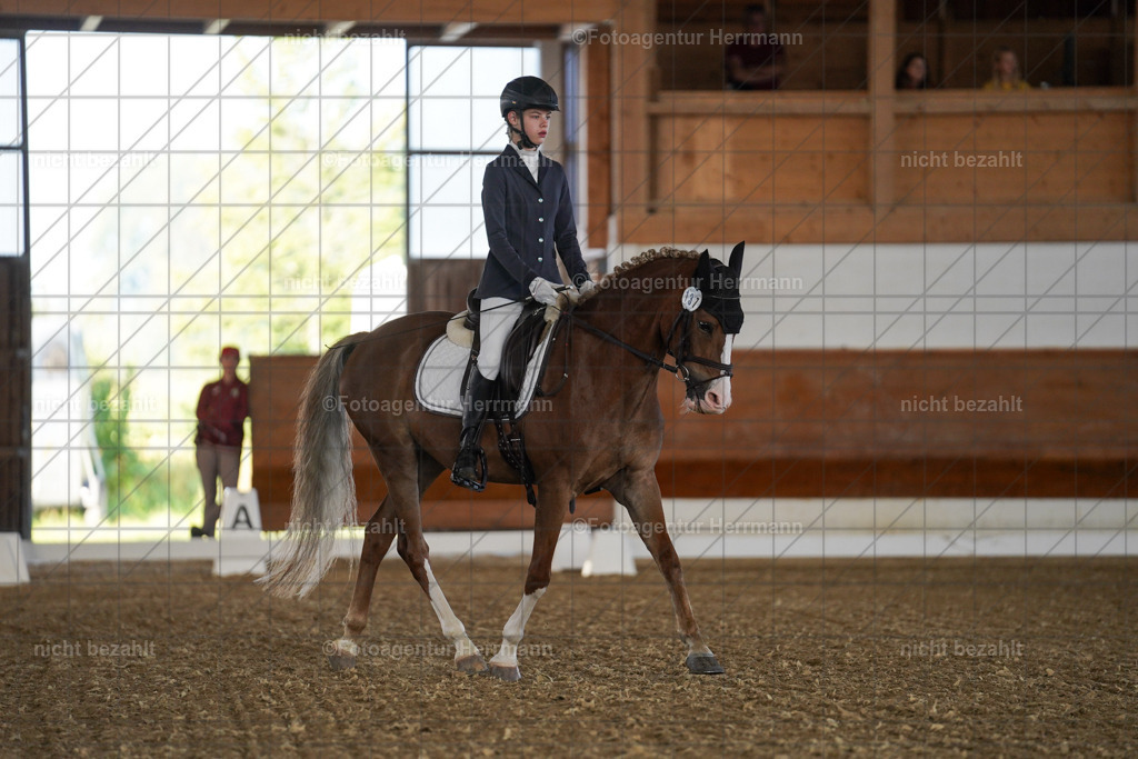 20240824-FAH06936 | Thierhaupten 2024, Bayerisches Landesponyturnier, Turnierbilder, Ponybilder, Turnierfotografen Bayern, Fotoagentur Herrmann