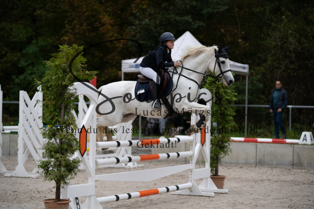 A7V09973 | Turnier/Reitfotograf