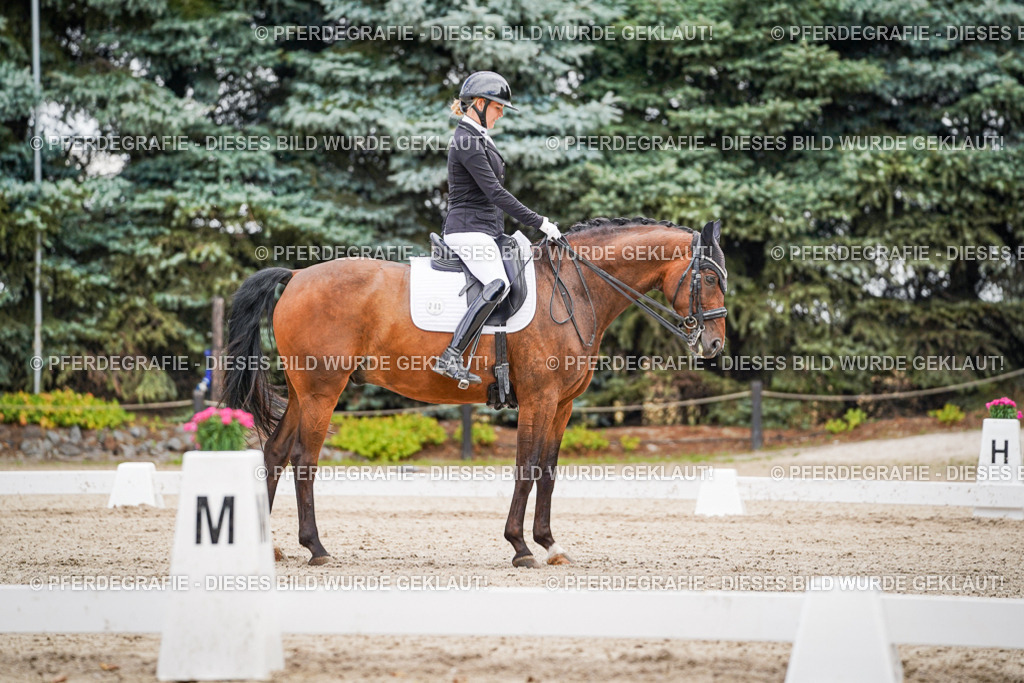 DSC02676 | Pferdegrafie