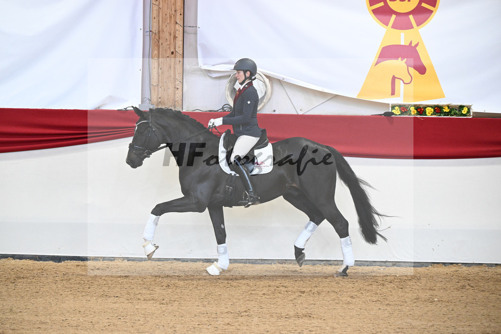 Boccacio_HLG Neustadt_2251379 | hf-fotografie - Realisiert mit Pictrs.com