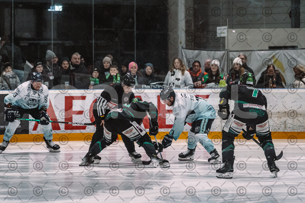 Alligators_vs_Lindau_20_02_2026-07 | Höchstadt Alligators Fotogalerie: Eishockey-Action aus Franken. Professionelle Spielfotos, Portraits & Stadionbilder zum Download. Jetzt entdecken! - Realisiert mit Pictrs.com