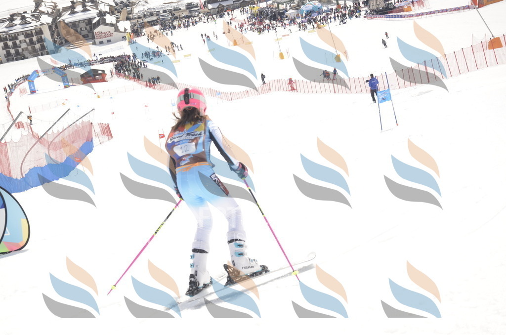 _ELE8588 | holidayphoto