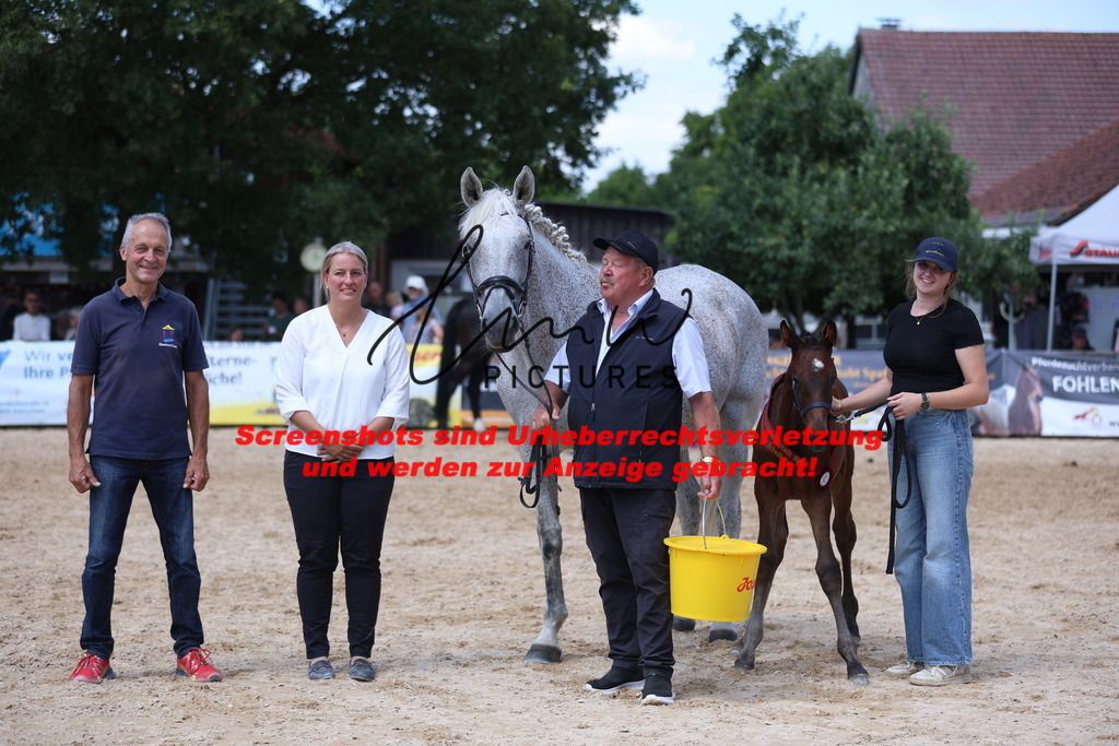 Fohlenschau_Schwäbisch_Hall_springbetonte_Fohlen_RESERVE SIEGERFOHLEN_KN 23_9 | lmwpictures - Realisiert mit Pictrs.com