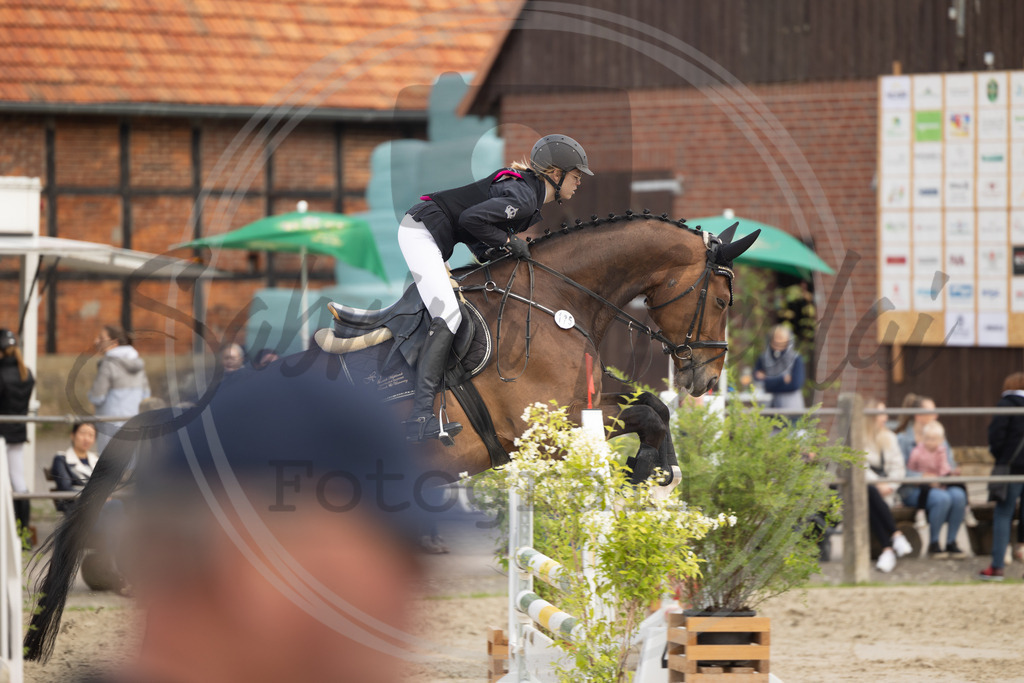 994A9577 | sabrinanicolaifotografie - Realisiert mit Pictrs.com