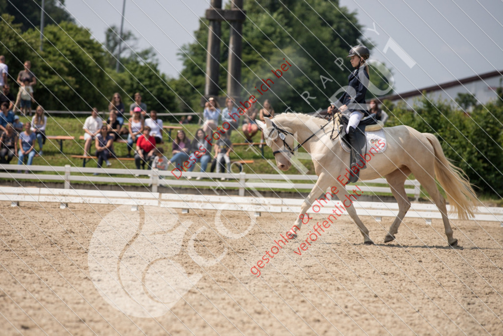 IMG_3810 | Sport-, Event- und Tierfotos in Profiqualität. Einfach auswählen, bestellen und herunterladen. Dein Moment – perfekt festgehalten.