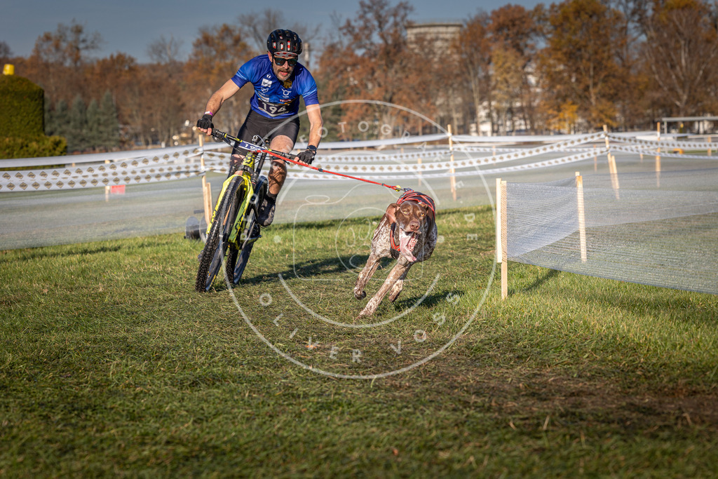 CaniXpix_0L8A4366 | Hundefotografie, Tierfotograf, Pfotenfotografie, Fotoshooting Hund, Hunde Portrait, Hundesport, Hundeportraits, Heideshooting, Hunde, Sportfotograf, Hundefotograf, Turnierhundsport, THS,  - Realisiert mit Pictrs.com