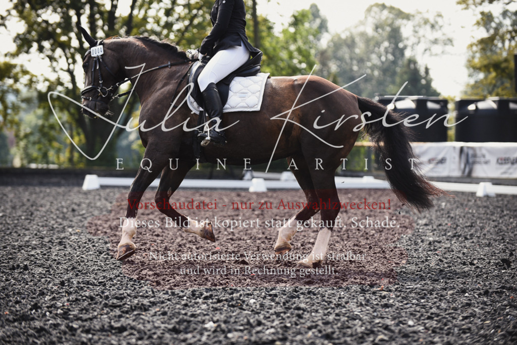 DSC_3634 | Pferde- und Turnierfotografie in Westsachsen. Pferdeportraits, Auftragszeichnungen und intuitive Kunst.