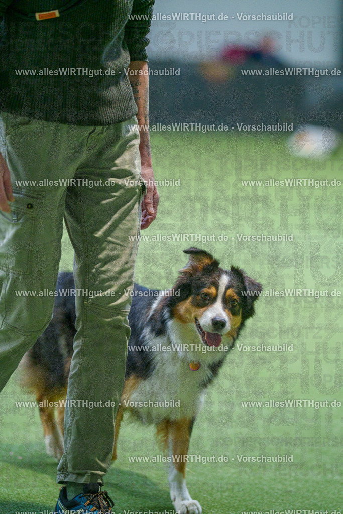 7R506057 | Professionelle Tierfotografie in Mönchengladbach von Daniel Wirth (allesWIRTHgut). Liebevolle & natürliche Bilder von Hunden & Katzen für unvergessliche Erinnerungen.