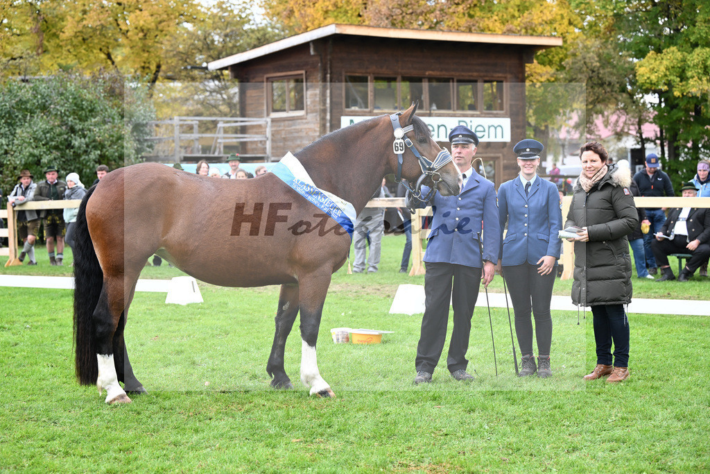 Kat-Nr. 69 Vivana v. Rupertiwinkel_HLG Schwaiganger_41251708 | hf-fotografie - Realizzato con Pictrs.com