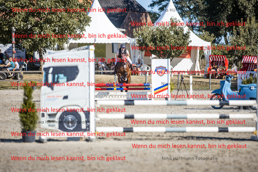 BK1A8093 | Turnierbilder Turnierfotos Nina Hüffmann Turnierfotografie Pferdefotografie Tierzeichnung Haustierzeichnung Pferdezeichnung Hundezeichnung Videograf  - Realisiert mit Pictrs.com