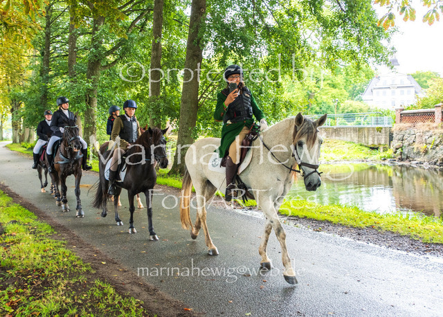 Jagd Kletkamp 26-9580_MarinaHewig | Fotografie, FotoArt, PferdesportArt, Pferdesportfotografie, Landschaftsfotografie, Reisefotografie, Reise, Pferde - Realisiert mit Pictrs.com