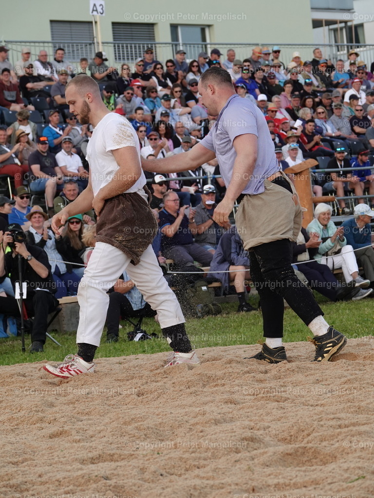 DSC06625 | Schwingen - Realisiert mit Pictrs.com