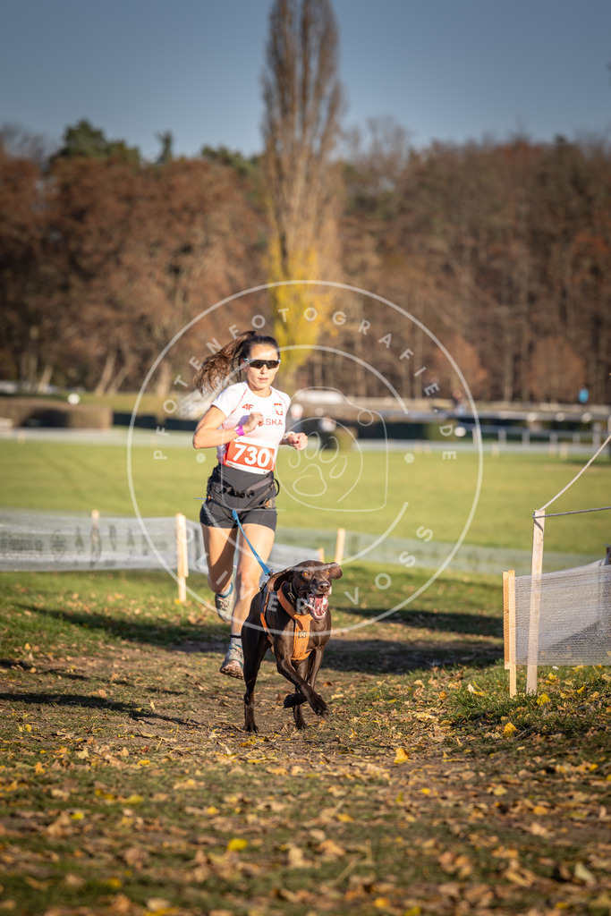 CaniXpix_DV3A2017 | Hundefotografie, Tierfotograf, Pfotenfotografie, Fotoshooting Hund, Hunde Portrait, Hundesport, Hundeportraits, Heideshooting, Hunde, Sportfotograf, Hundefotograf, Turnierhundsport, THS,  - Realisiert mit Pictrs.com