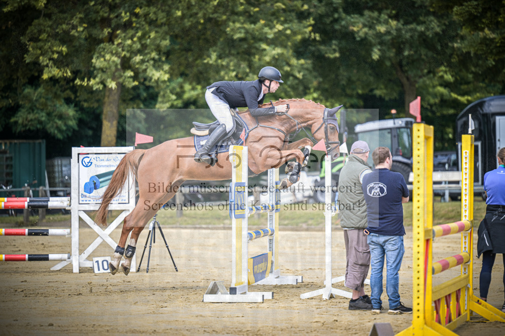 DOS_7015 | Entdecke hochwertige Reitturnierfotos von Foto Oger. Professionell, emotional und authentisch – jetzt Lieblingsmomente im Shop bestellen.Deutschlandweite Turnierfotografie. - Realisiert mit Pictrs.com