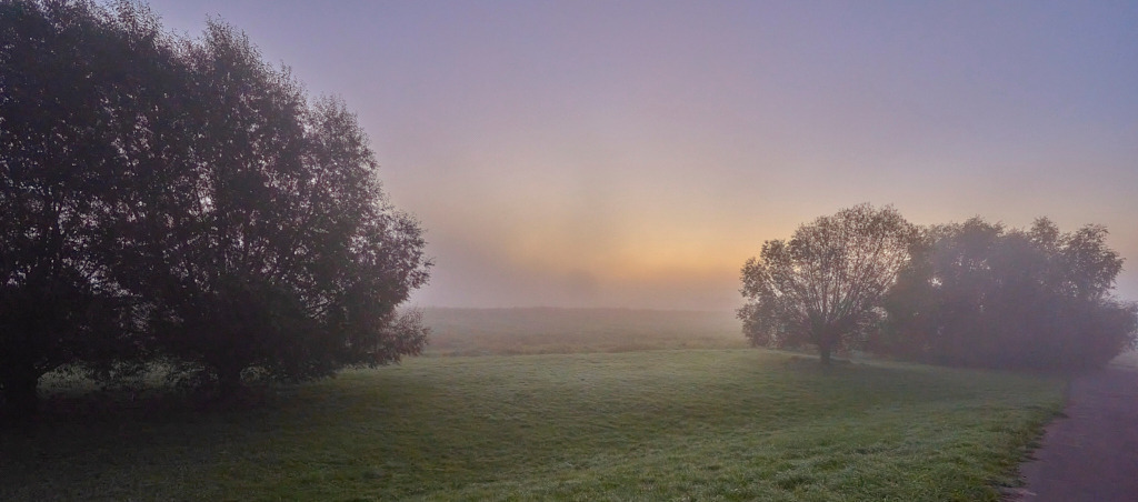 Frühmorgens am Deich lila-gelb | Fotos als Raumschmuck - Realisiert mit Pictrs.com