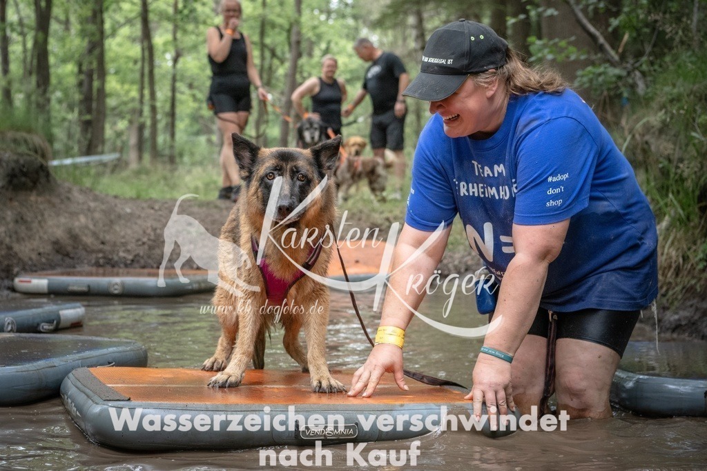 1234_ZZ99926T | kk-dogfotos