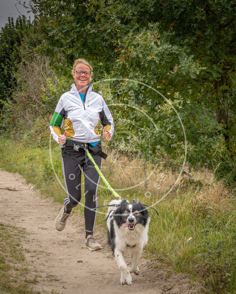 Pfotenfotografie_DV3A6851 | Hundefotografie, Tierfotograf, Pfotenfotografie, Fotoshooting Hund, Hunde Portrait, Hundesport, Hundeportraits, Heideshooting, Hunde, Sportfotograf, Hundefotograf, Turnierhundsport, THS,  - Realisiert mit Pictrs.com