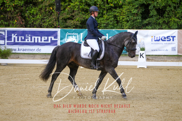 DKP41144 | Turniersportfotografie; Pferdefotografie; Dressurfotografie