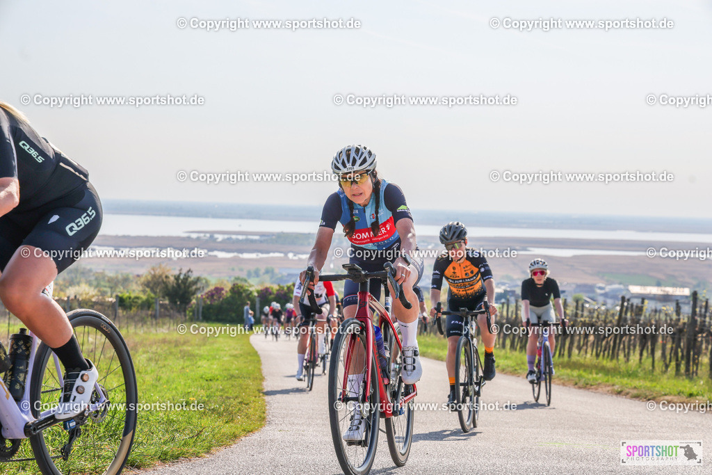 007A9167 | Neusiedlersee Radmarathon #neusiedlerseeradmarathon #neusiedlersee #nrm26 #yourpictrs #sportshot_your_pictrs
