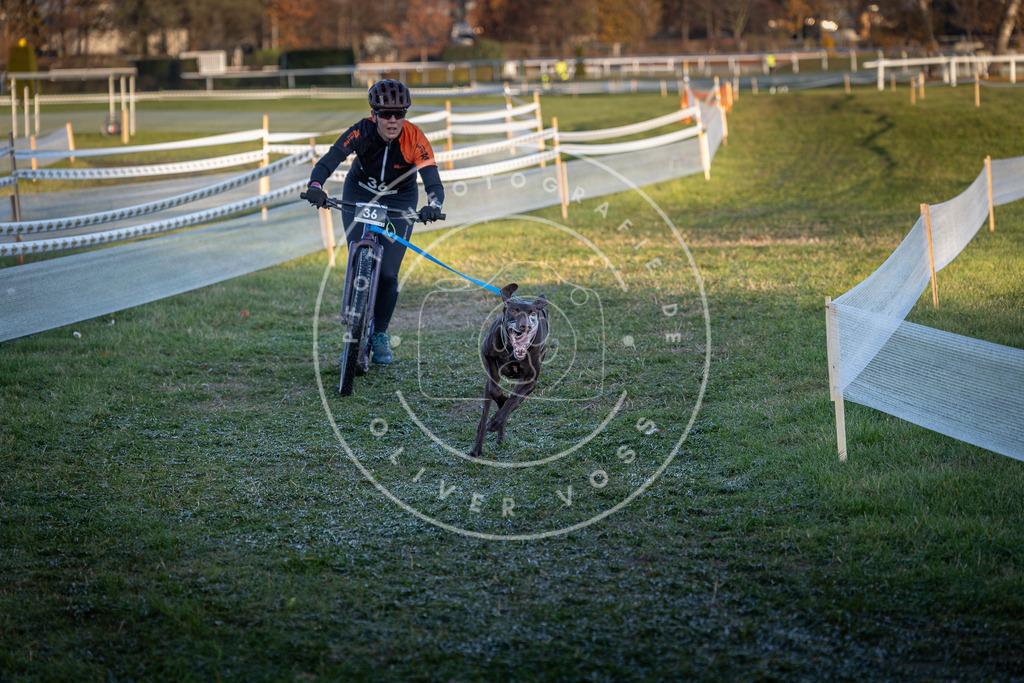 CaniXpix_0L8A2283 | Hundefotografie, Tierfotograf, Pfotenfotografie, Fotoshooting Hund, Hunde Portrait, Hundesport, Hundeportraits, Heideshooting, Hunde, Sportfotograf, Hundefotograf, Turnierhundsport, THS,  - Realisiert mit Pictrs.com
