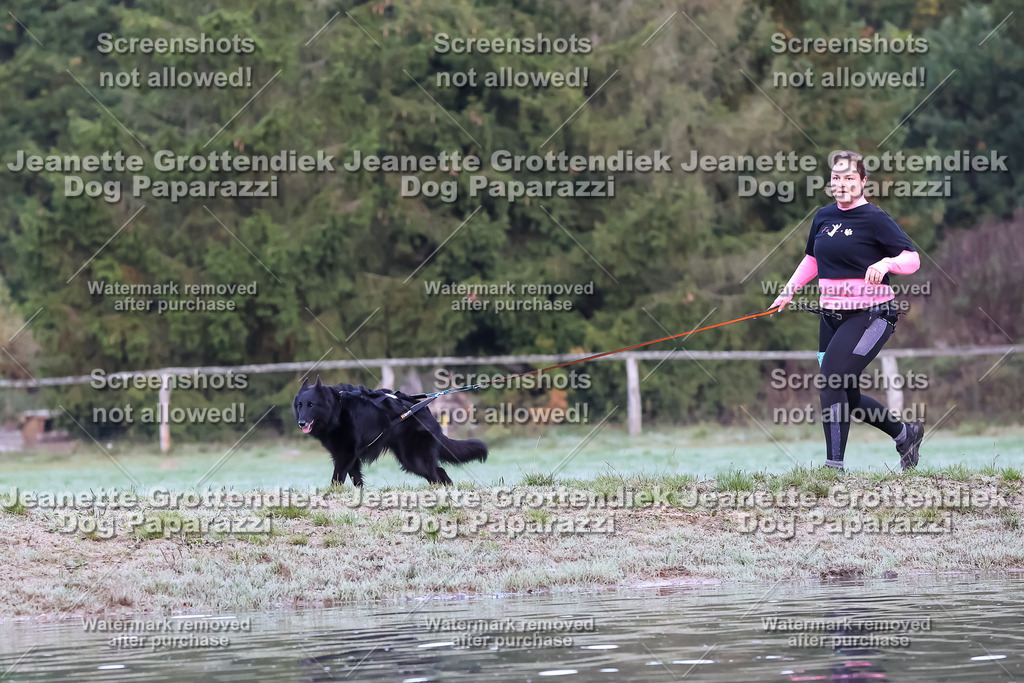 Dog Paparazzi - Strongdog 10-25-6389 | Dog Paparazzi Jeanette Grottendiek Fotografie & Videografie - Realisiert mit Pictrs.com