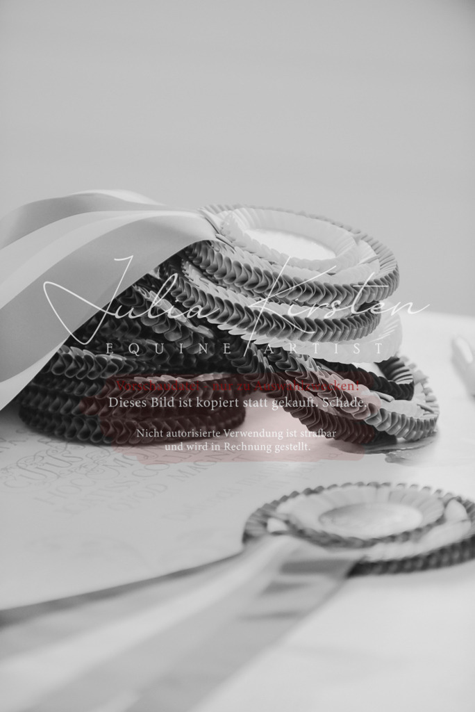 DSC_7364 | Pferde- und Turnierfotografie in Westsachsen. Pferdeportraits, Auftragszeichnungen und intuitive Kunst.
