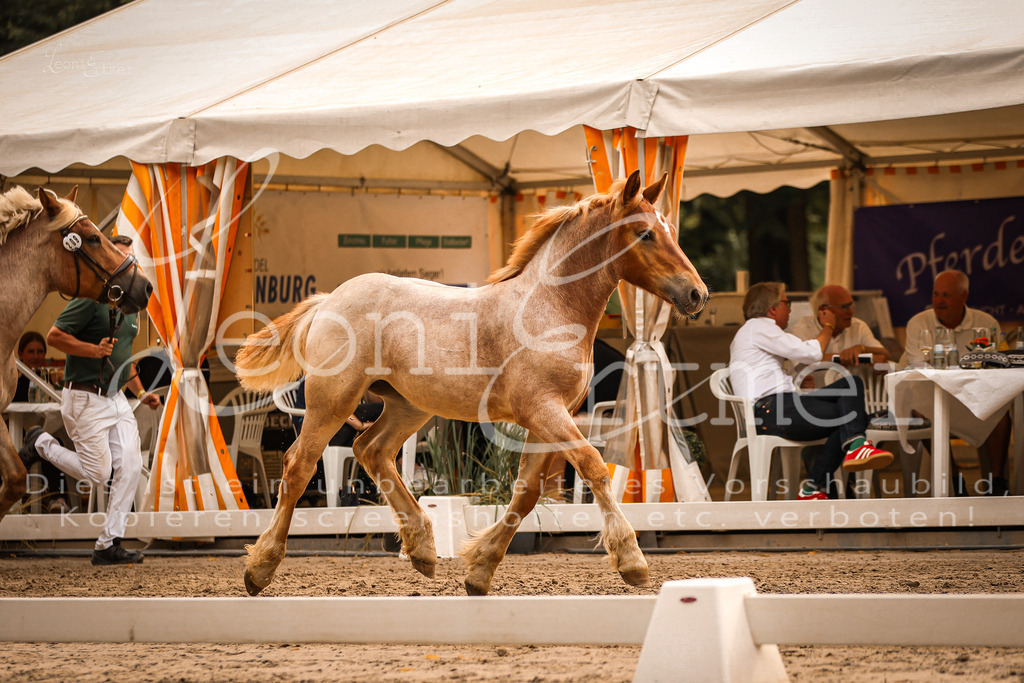 SaSF00083 | Leoni Ertmer Photography - Realisiert mit Pictrs.com