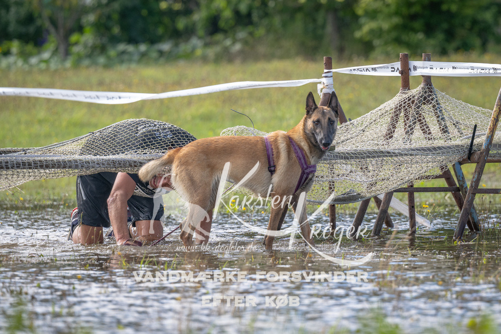 1150_ZZ90057 | kk-dogfotos