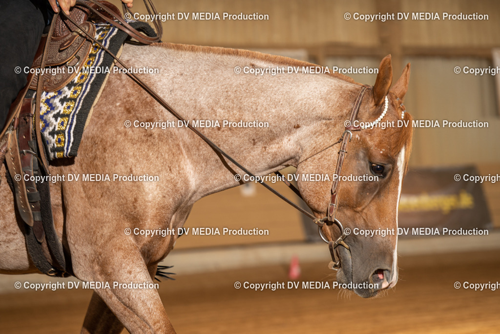 NID03206 | dv-media-shop - Realisiert mit Pictrs.com