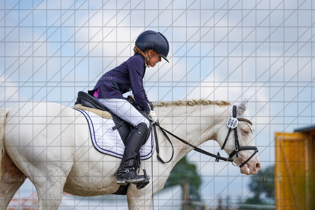 20230826-FAH05293 | Forstinning, 2023, Dressurturnier, Turniersportbilder, Turnierfotografen Bayern, Fotoagentur Herrmann, Reitsportfotografie, Turnierbilder