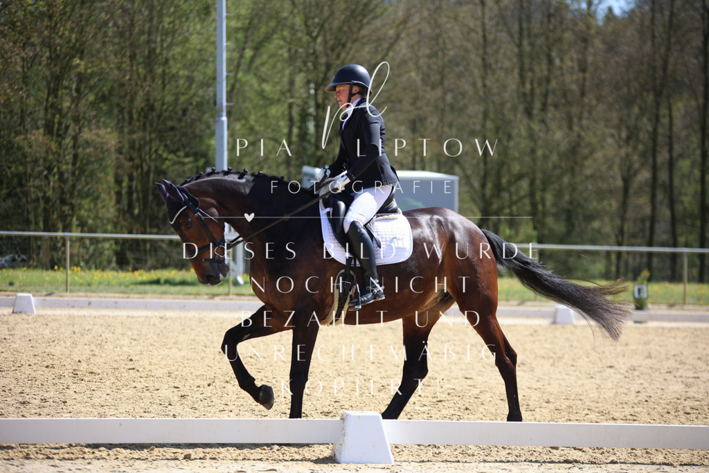 IMGT7489 | pl-fotografie