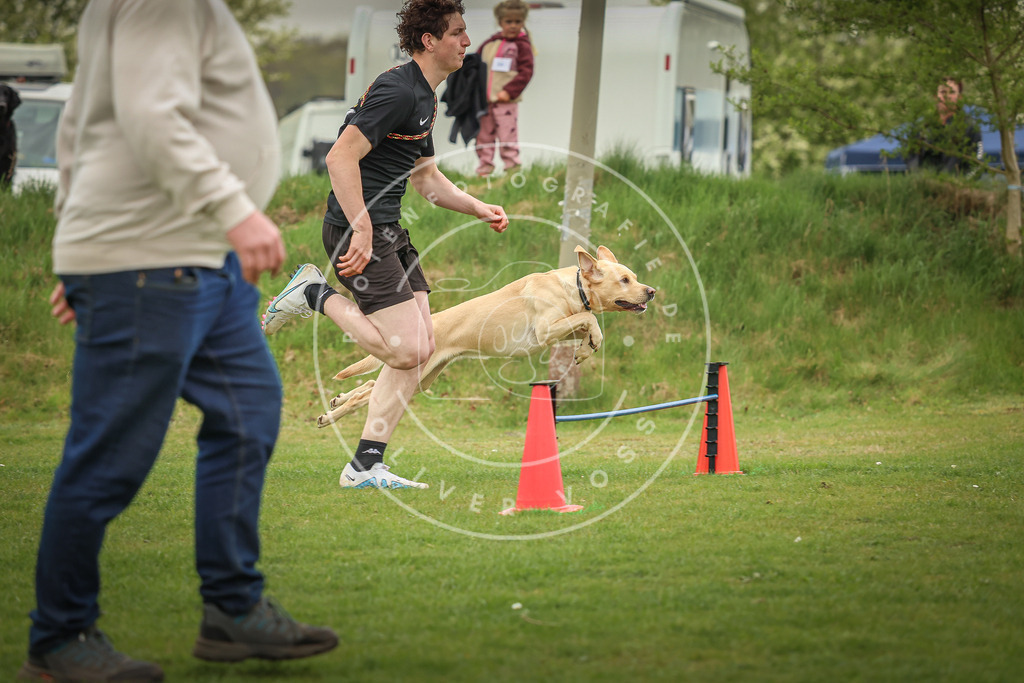 Pfotenfotografie_0L8A0428 | Hundefotografie, Tierfotograf, Pfotenfotografie, Fotoshooting Hund, Hunde Portrait, Hundesport, Hundeportraits, Heideshooting, Hunde, Sportfotograf, Hundefotograf, Turnierhundsport, THS,  - Realisiert mit Pictrs.com
