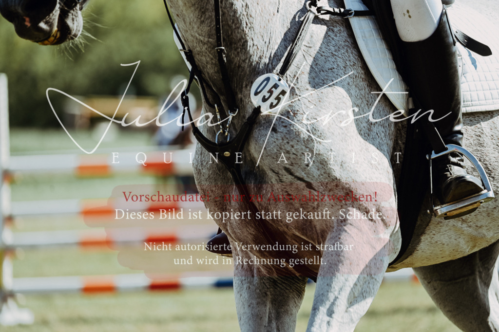 DSC_6863 | Pferde- und Turnierfotografie in Westsachsen. Pferdeportraits, Auftragszeichnungen und intuitive Kunst.