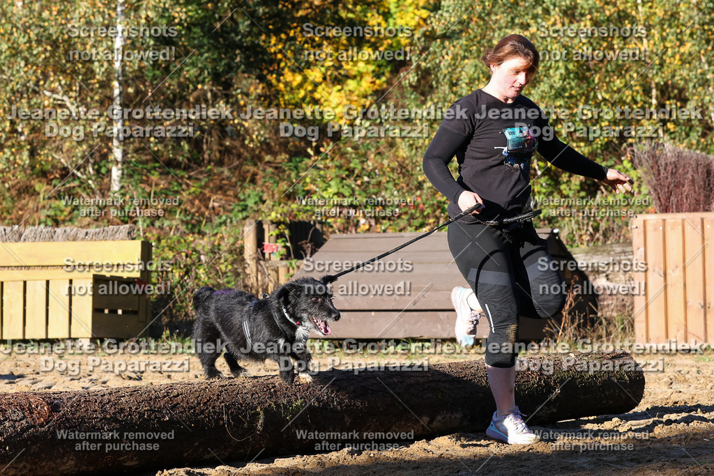 Dog Paparazzi - Strongdog 10-25-1337 | Dog Paparazzi Jeanette Grottendiek Fotografie & Videografie - Realisiert mit Pictrs.com