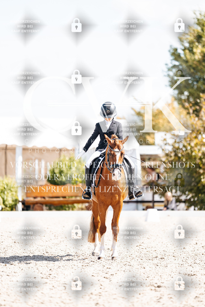 CK903127 | Turnierfotografie Pferdefotografie Trier Rheinland-Pfalz Pferdesport Reitsport Tierfotografie Sportfotografie Pferdevideo Pferdevideografie Equestrianvideography equestrianphotography  - Realisiert mit Pictrs.com