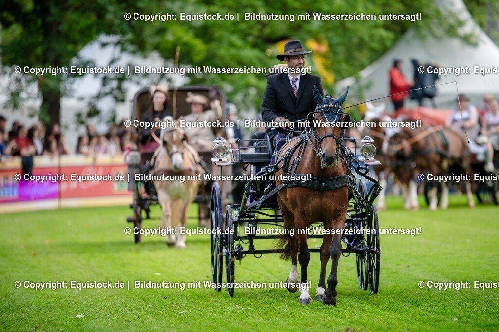 20250606_Lange-Pferdenacht_0195 | Foto: Thomas Hartig