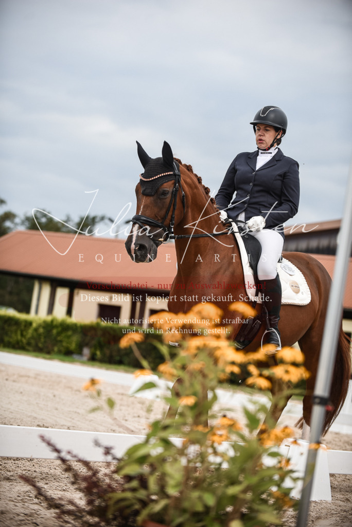 DSC_8348 | Pferde- und Turnierfotografie in Westsachsen. Pferdeportraits, Auftragszeichnungen und intuitive Kunst.