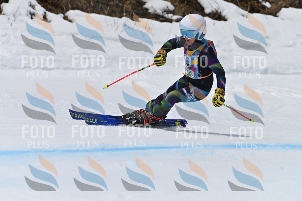 BGV_5438 | holidayphoto