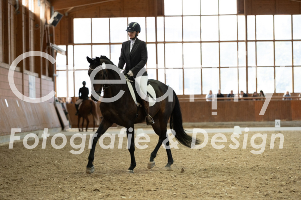 IMG_5718 | Creatify Fotografie