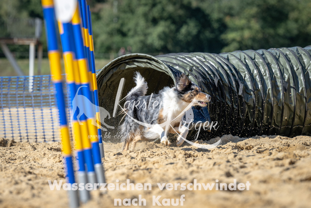 1313_ZZ94107-2 | kk-dogfotos