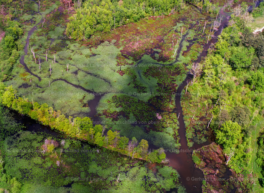 USA5697 | East Branch Tuckahoe Creek, Richmond Virginia
