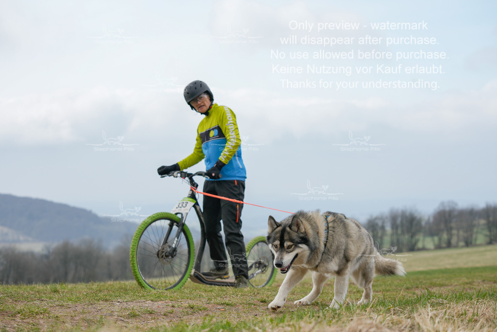 ScooterSA-221-17 | stephaniefillaphotographie - Realisiert mit Pictrs.com