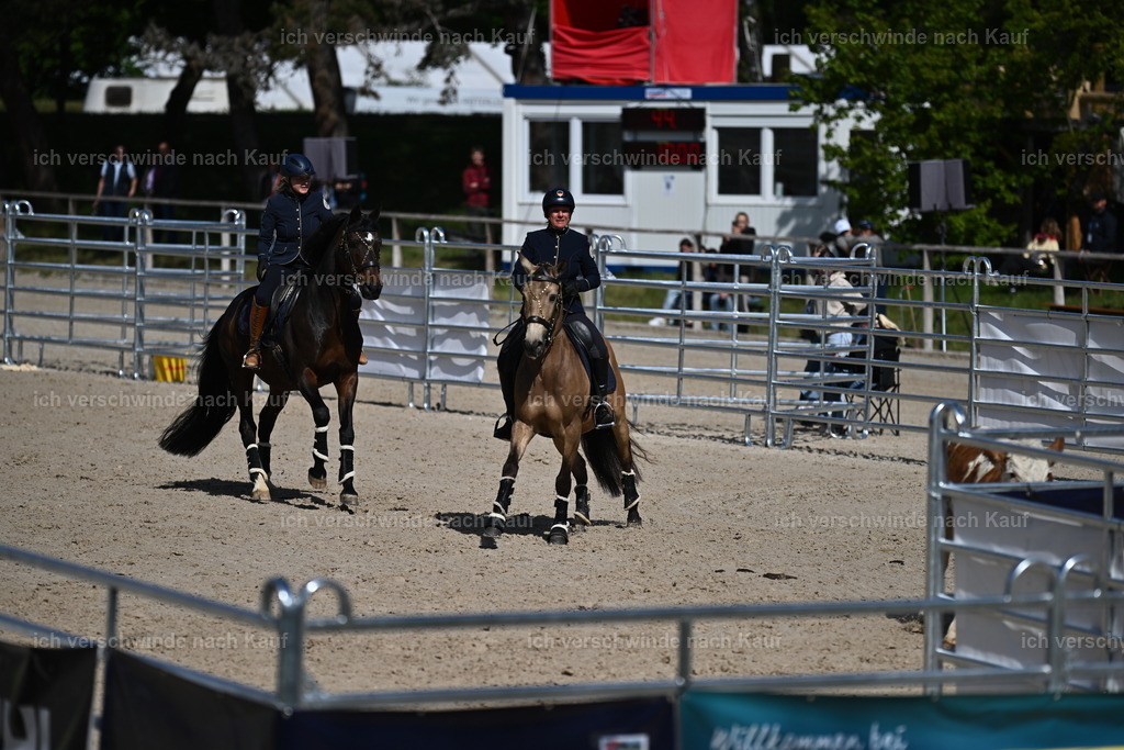 PI26_COW_Sara Landvogt226_7227.JPG | working equitationturnier fotograf videograf stoibphotography marixx film working equitation deutschland reitsport turnierfotografie eventfotografie equestrian events