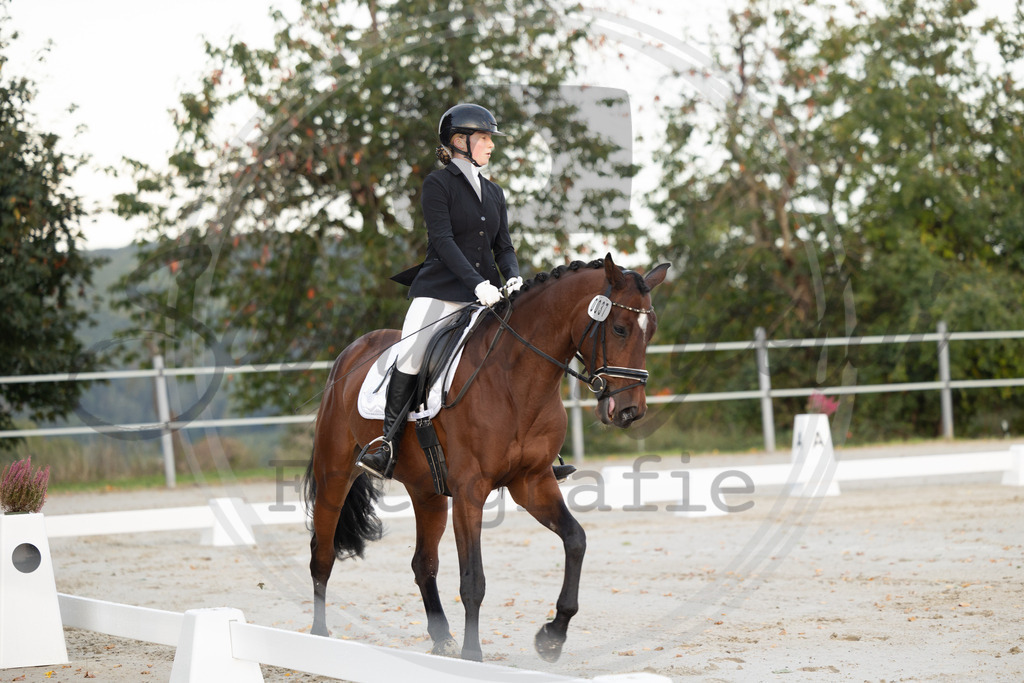 994A9845 | sabrinanicolaifotografie - Realisiert mit Pictrs.com